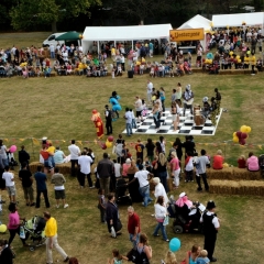 Arena Acts Company Fete Interactive Entertainment