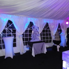 Vodka Luge Bespoke Ice Marquee Hire